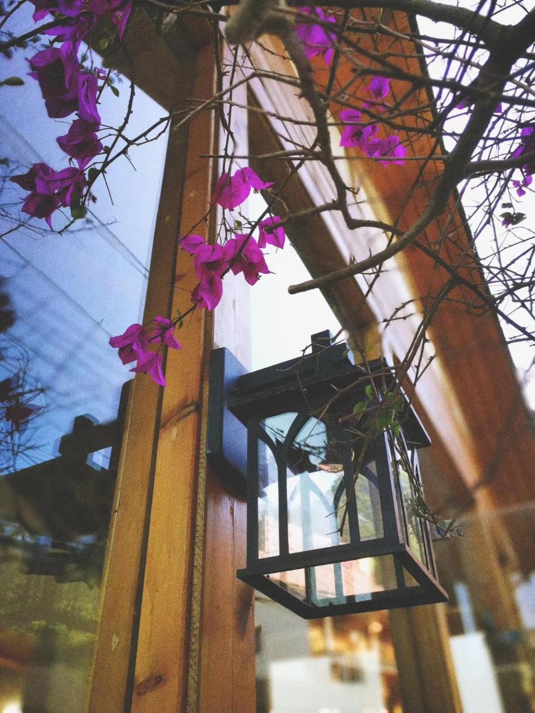 Zhangjiajie Forest Park Youth Hostel エクステリア 写真