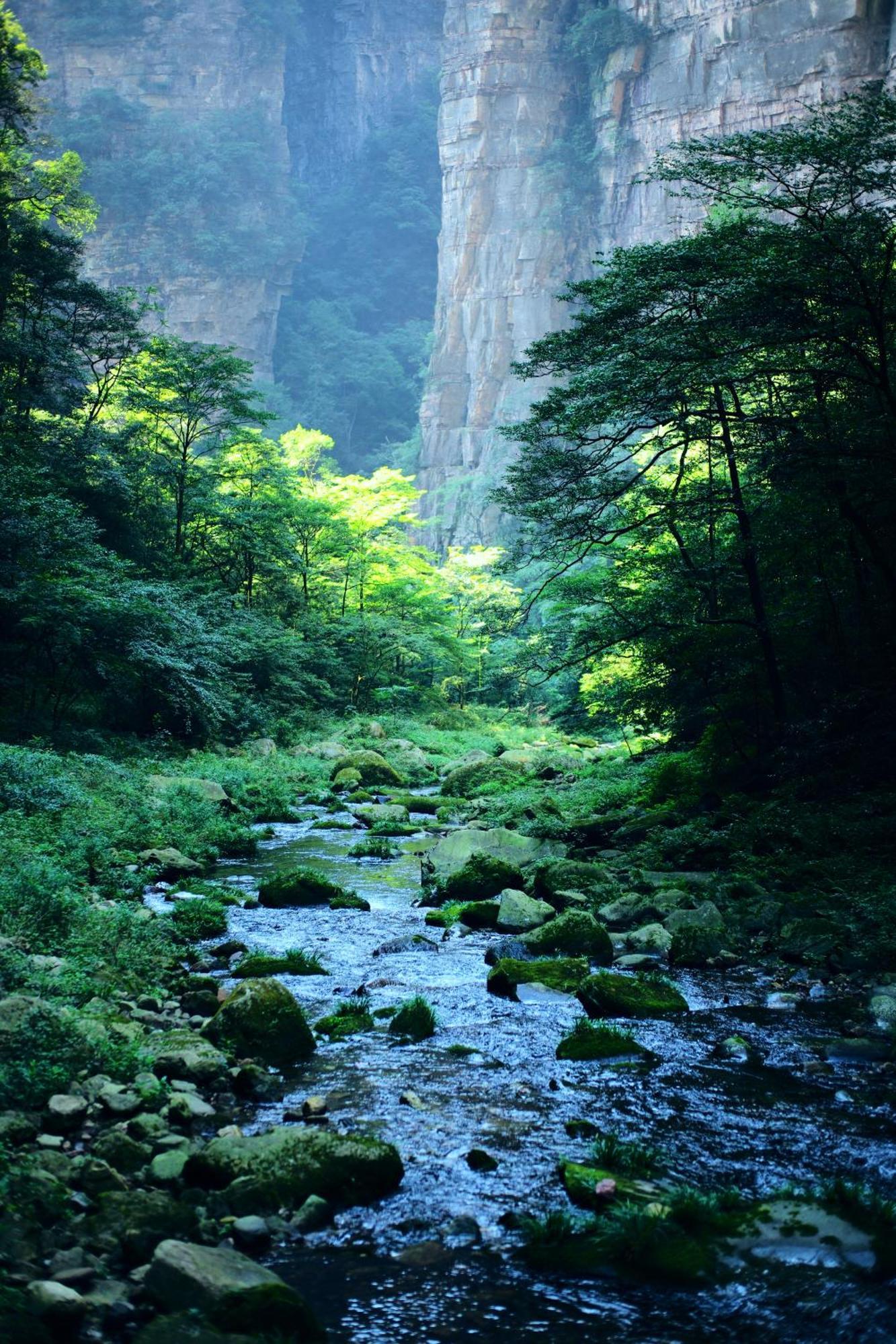 Zhangjiajie Forest Park Youth Hostel エクステリア 写真