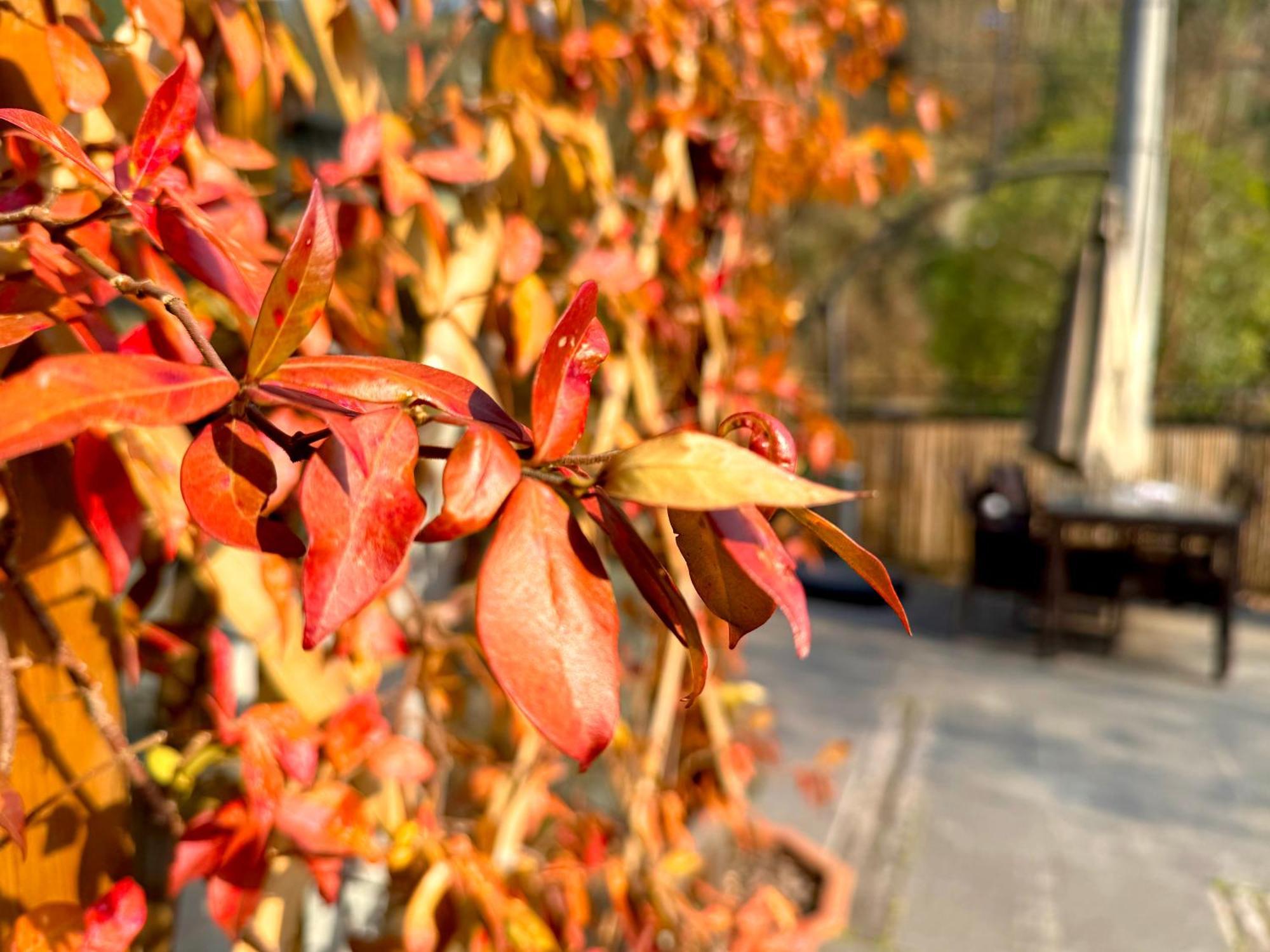 Zhangjiajie Forest Park Youth Hostel エクステリア 写真