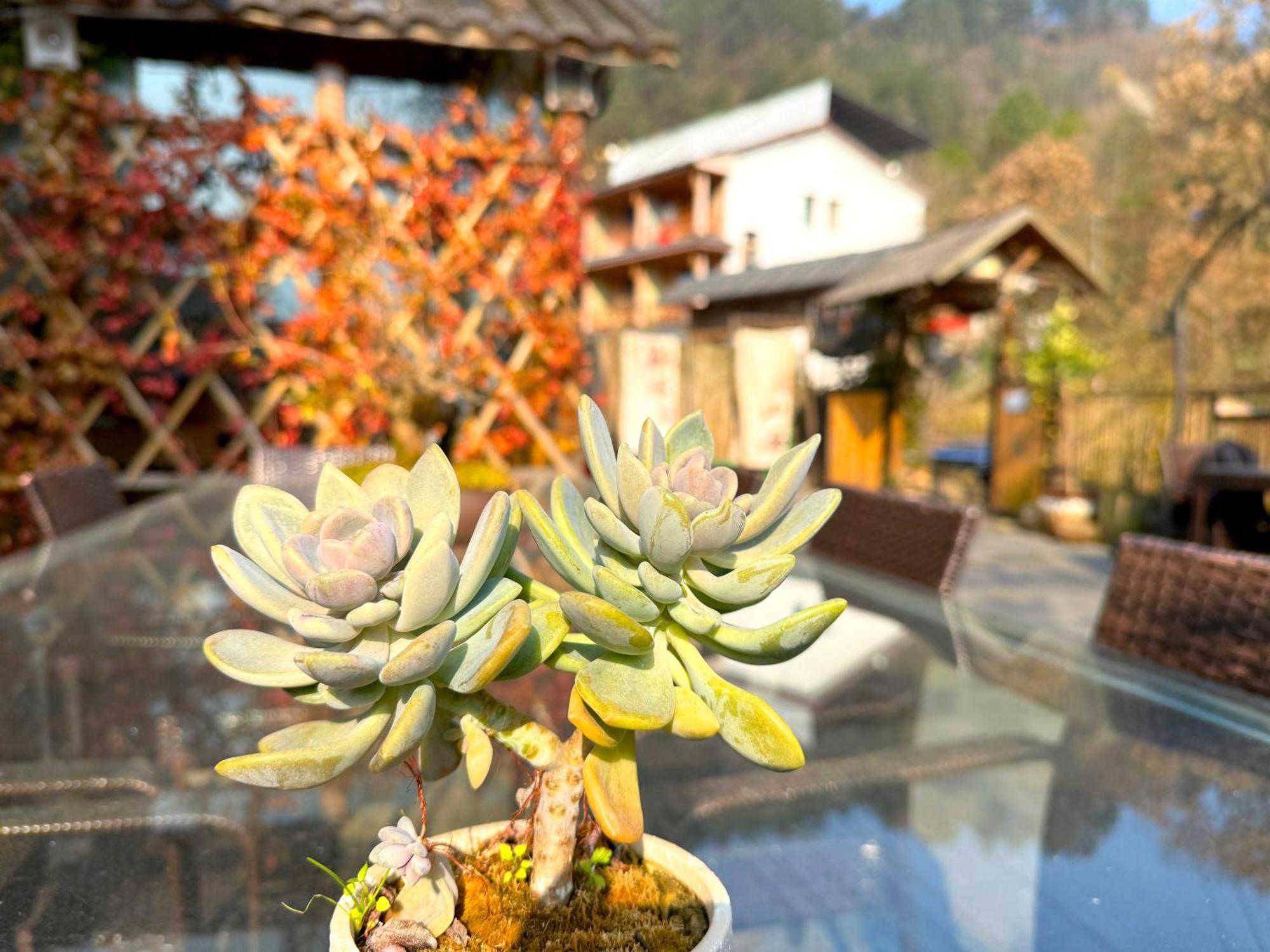 Zhangjiajie Forest Park Youth Hostel エクステリア 写真